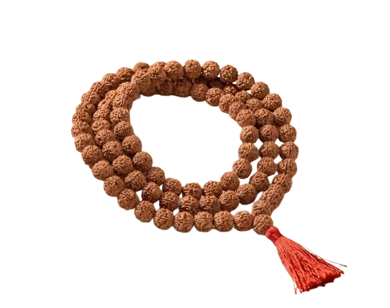 Rudraksha